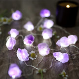 Natural Amethyst Decorative Lights  Stones