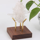 Wood Crystal Holder